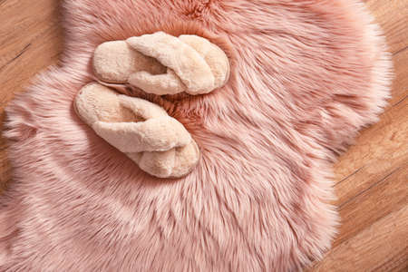Pair of soft slippers on fluffy rug