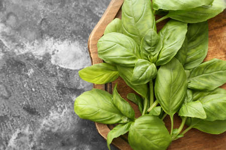 Fresh green basil on tableの写真素材