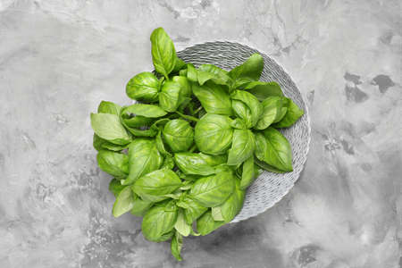 Fresh basil in bowl on gray background