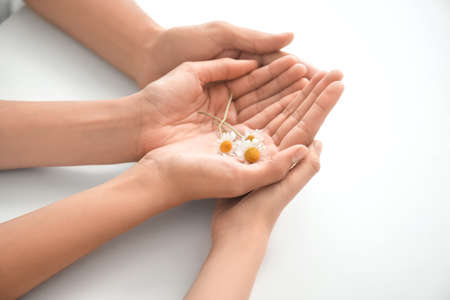 Hands of family with flowers on white backgroundの写真素材