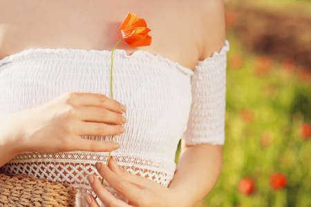 Beautiful young woman with poppy flower in field, closeupの写真素材