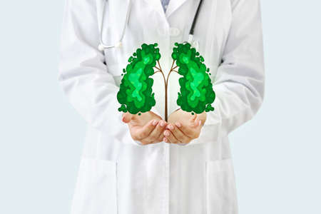 Doctor holding drawing of green tree in shape of human lungs on light background
