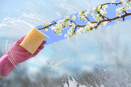 Janitor washing window with detergent. Spring cleaningの写真素材