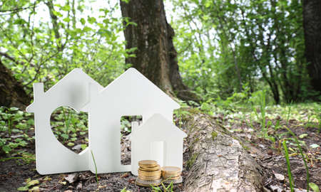 Figures of houses with coins in forestの写真素材