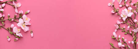 Beautiful blossoming branches on color background with space for textの写真素材