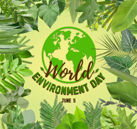 Greeting card for World Environment Dayの写真素材