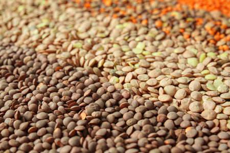 Heap of raw lentils as backgroundの写真素材