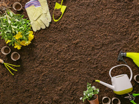 Supplies for gardening with plants on soil backgroundの写真素材