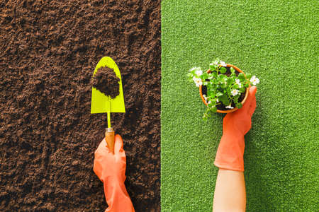 Gardener with plant, shovel and soil, top view