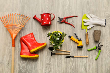 Gardening tools on wooden backgroundの写真素材