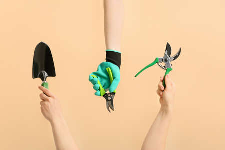 Female hands with gardening tools on color background