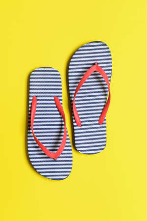 Stylish flip-flops on color backgroundの写真素材