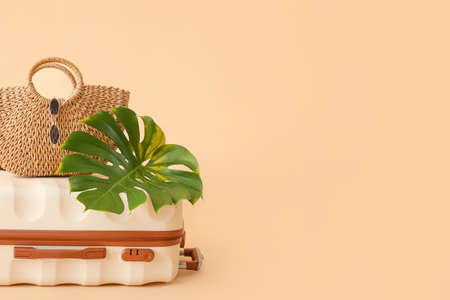 Packed luggage on color background. Travel conceptの写真素材