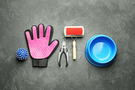 Pet care accessories on dark backgroundの写真素材