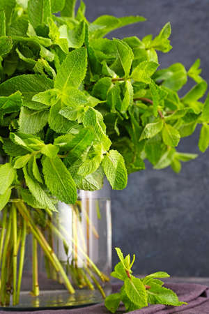 Fresh green mint on table