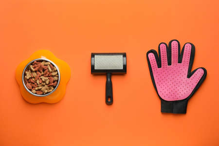 Pet care accessories and bowl with dry pet food on color backgroundの写真素材