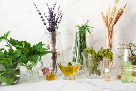 Ingredients for preparing potions on white background