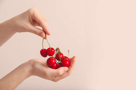 Female hands with sweet cherry on color background
