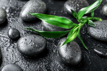 Spa stones and bamboo leaves on dark backgroundの写真素材