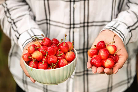 Woman with bowl of sweet cherry in garden, closeup