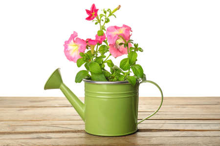 Watering can with flowers on table against white backgroundの写真素材