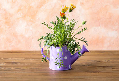 Watering can with flowers on color backgroundの写真素材