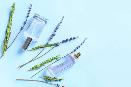 Bottles of perfumes and lavender on color background