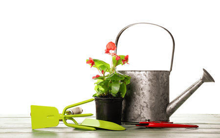 Gardening tools and pot flower on white backgroundの写真素材