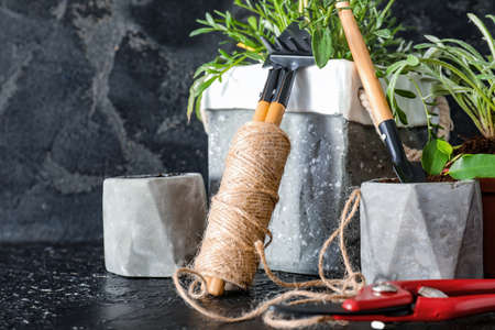 Gardening tools with twine and plants on dark backgroundの写真素材