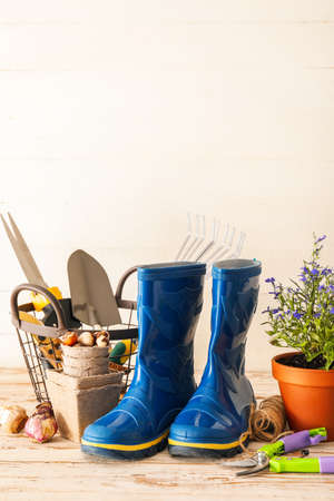 Gardening tools with gumboots and pot flower on light backgroundの写真素材
