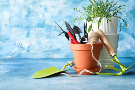 Gardening tools and pot flower on color backgroundの写真素材