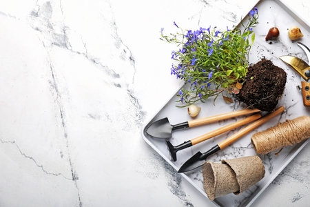 Gardening tools on white backgroundの写真素材