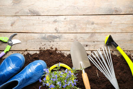 Gardening tools on wooden backgroundの写真素材
