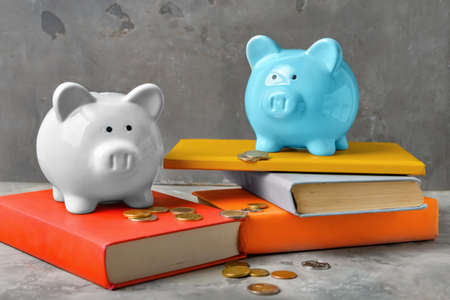 Piggy banks with coins and books on grunge backgroundの写真素材