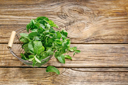 Fresh green mint in basket on wooden background