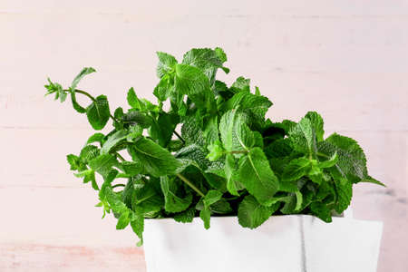 Fresh green mint in basket on white wooden background