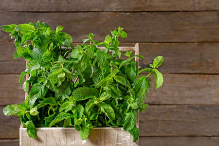 Fresh green mint in basket on wooden backgroundの写真素材