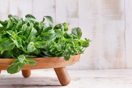 Fresh green mint on light wooden backgroundの写真素材
