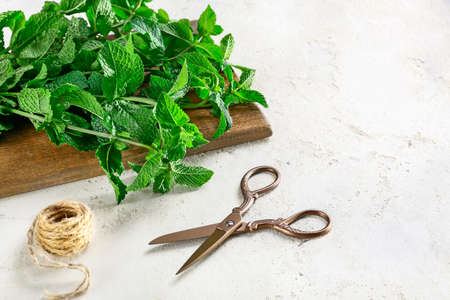 Fresh green mint, scissors and thread on light backgroundの写真素材
