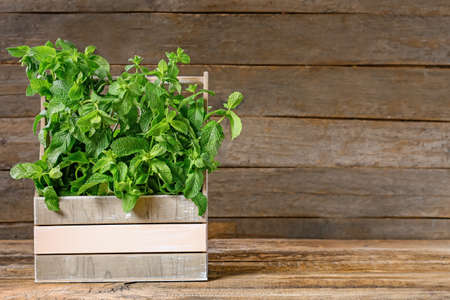Fresh green mint in basket on wooden backgroundの写真素材