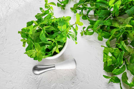 Fresh green mint, mortar and pestle on light backgroundの写真素材
