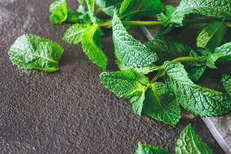 Fresh green mint on gray backgroundの写真素材