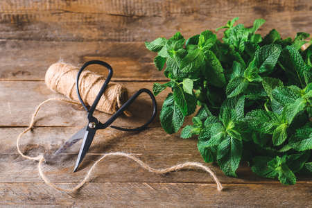 Fresh green mint, thread and scissors on wooden backgroundの写真素材