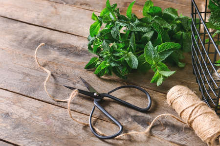Fresh green mint, thread and scissors on wooden backgroundの写真素材