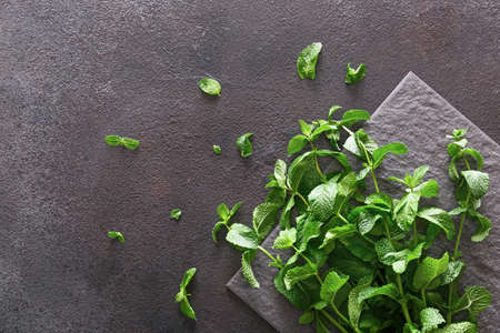 Fresh green mint on gray background