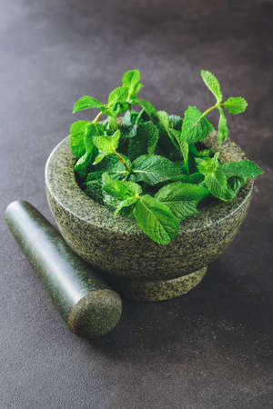 Fresh green mint in mortar on gray backgroundの写真素材