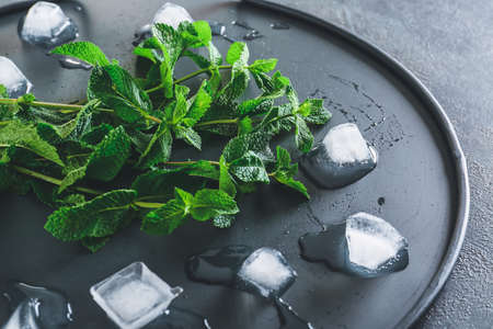 Fresh green mint and ice cubes on trayの写真素材