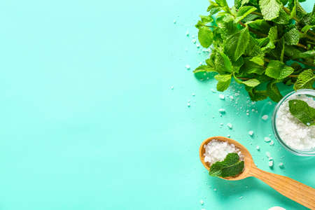 Composition with mint and sea salt on color background