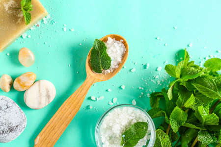 Composition with mint, sea salt and soap on color background