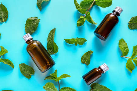 Aromatic mint and essential oil on color backgroundの写真素材